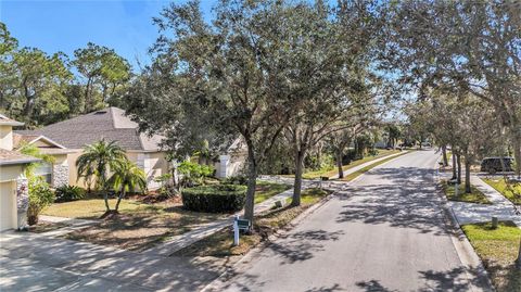 A home in TAMPA