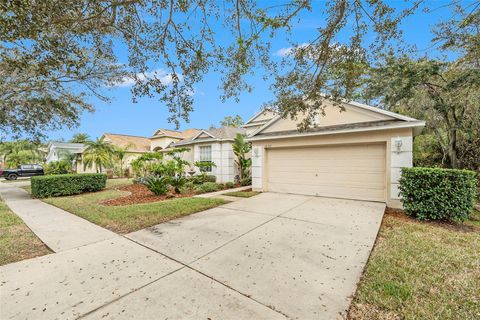 A home in TAMPA