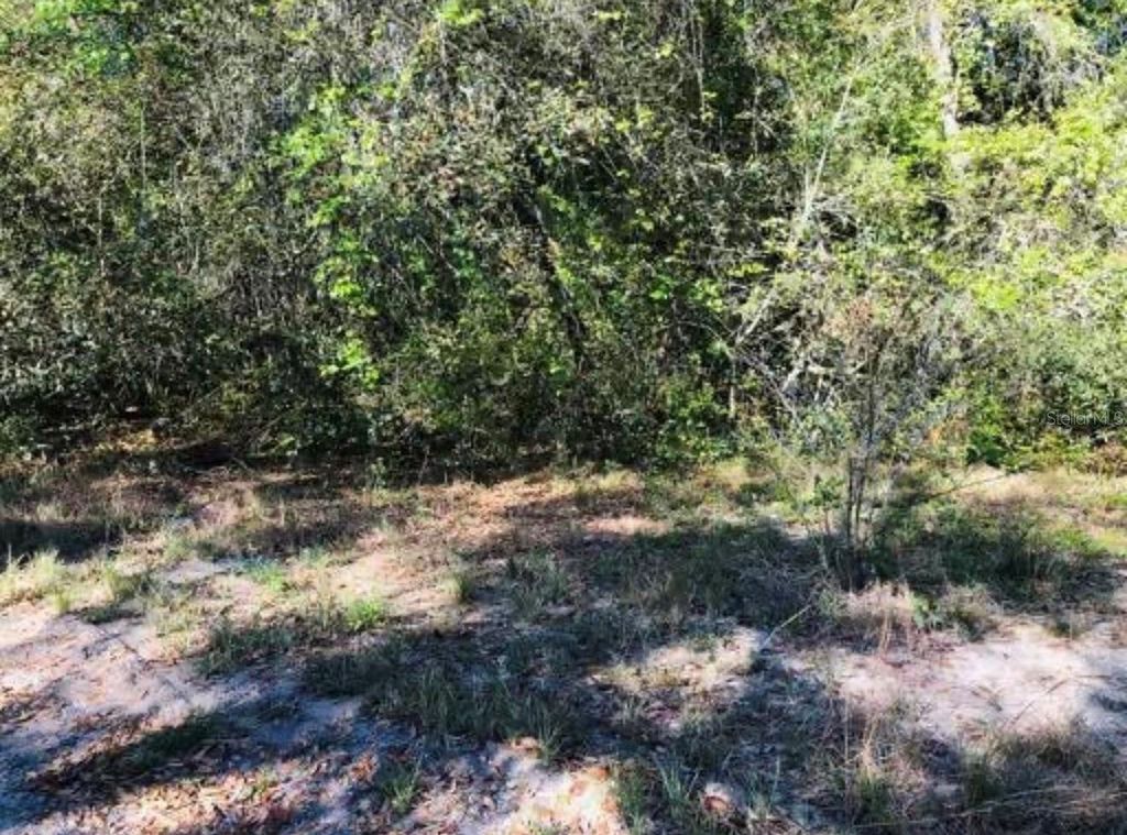 Photo of Oakridge Drive, Lady Lake, FL 32159 (MLS # S5143832)