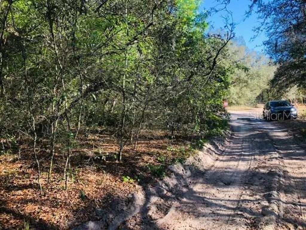 Photo of Oakridge Drive, Lady Lake, FL 32159 (MLS # S5143832)