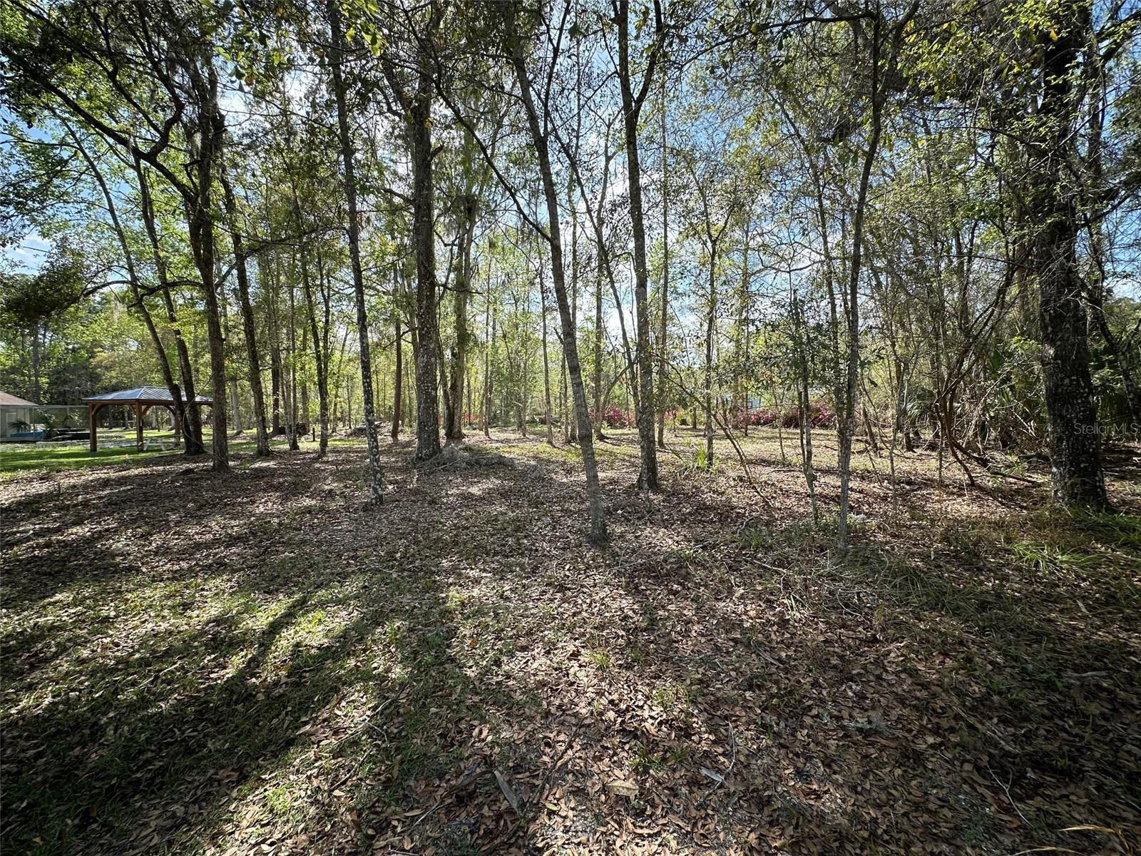 HAMMOCK ACRES - Residential