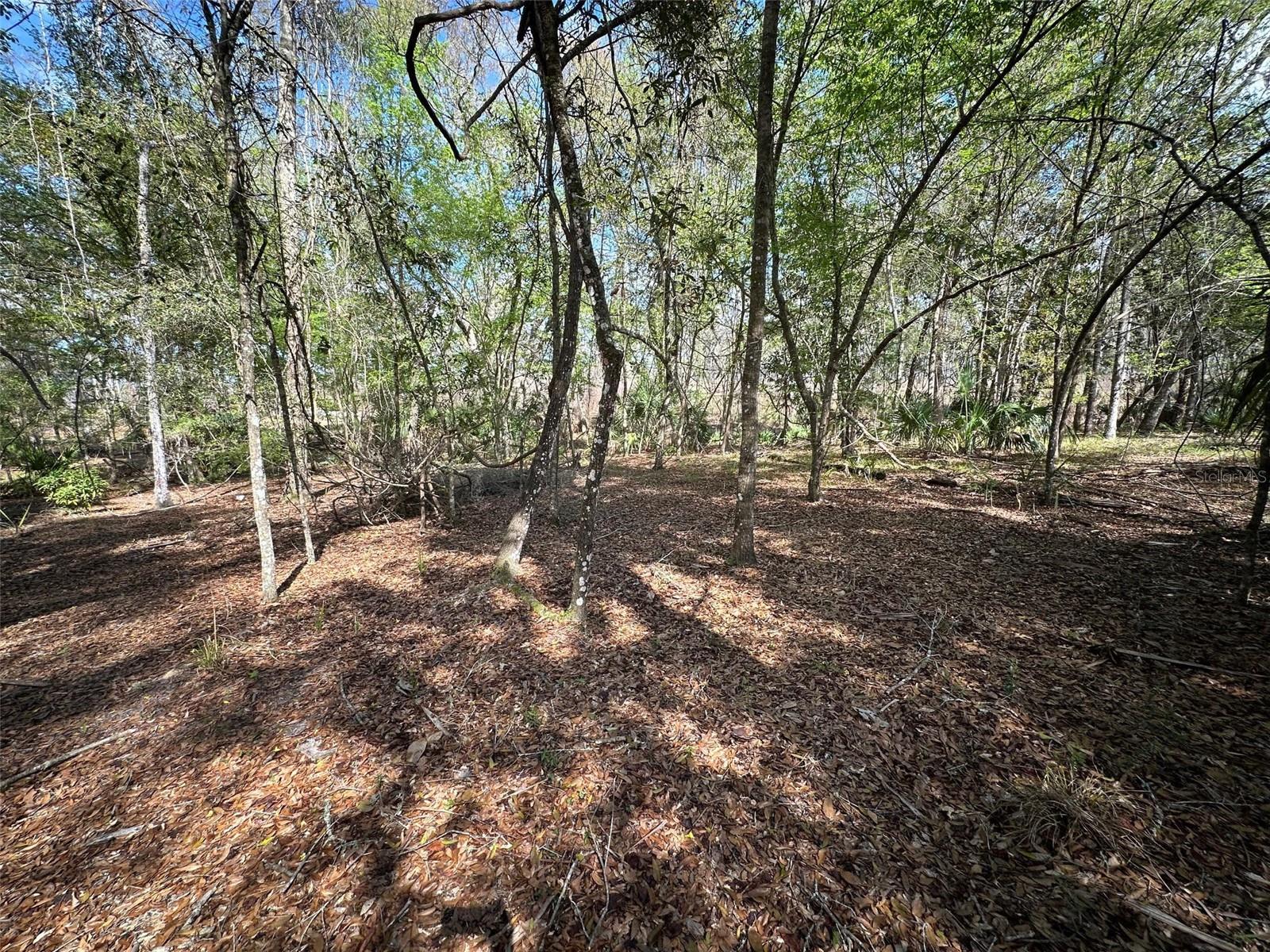 HAMMOCK ACRES - Residential