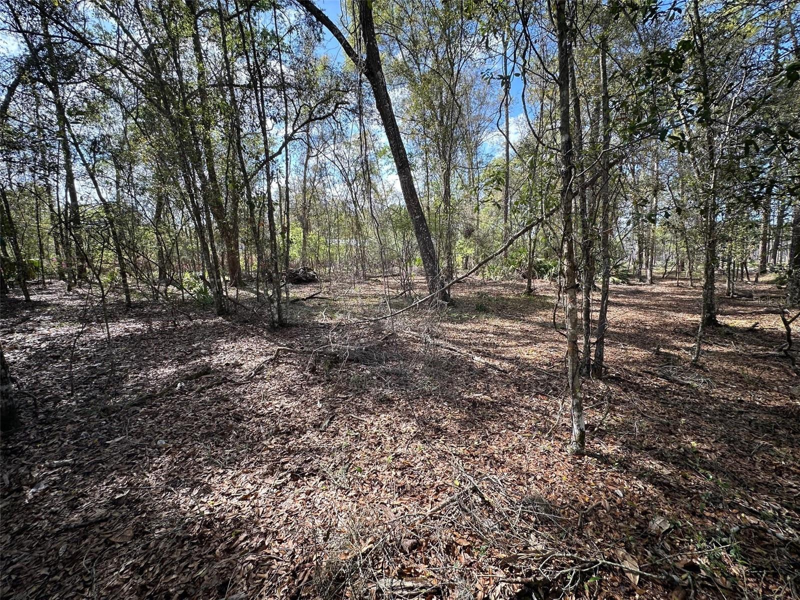 HAMMOCK ACRES - Residential