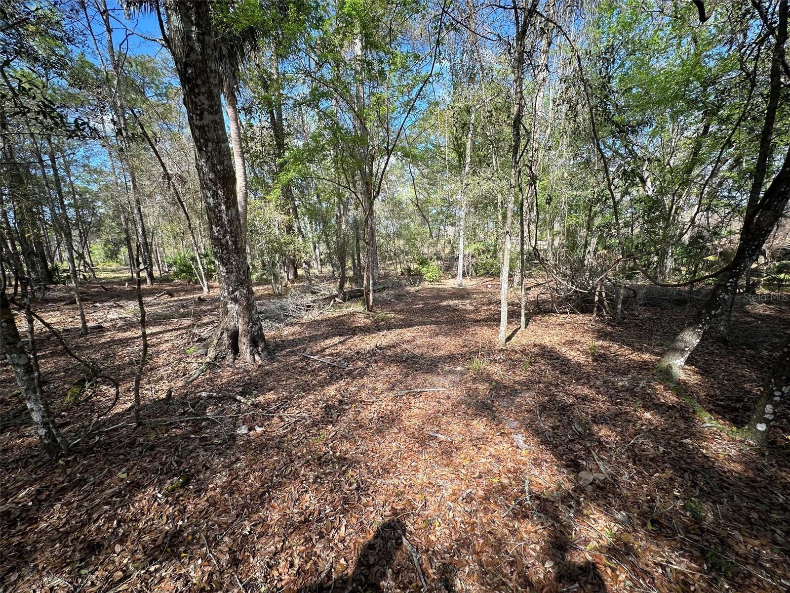 HAMMOCK ACRES - Residential