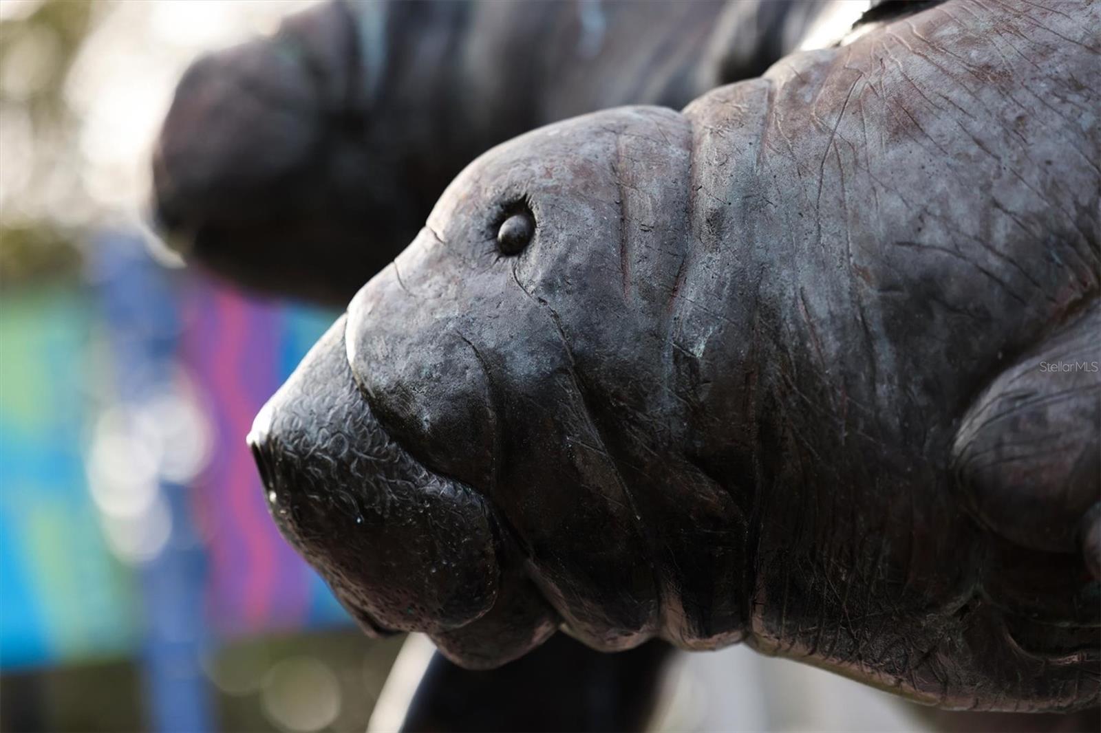 RIO VISTA - Residential