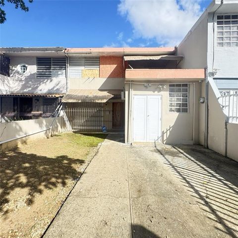 P2400FS FLAMBOYAN ST. AZ-9 CAROLINA  00983