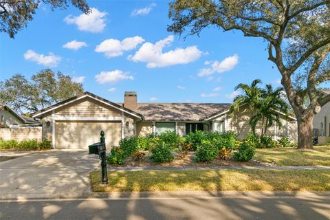 A home in PALM HARBOR