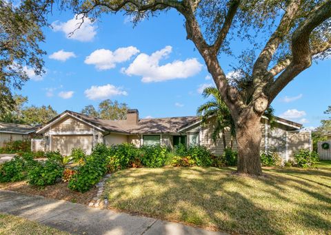 A home in PALM HARBOR