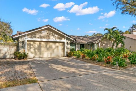 A home in PALM HARBOR