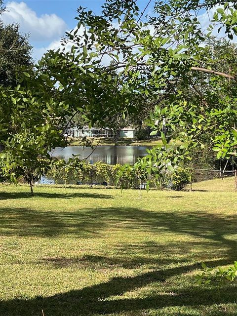 A home in PALM HARBOR