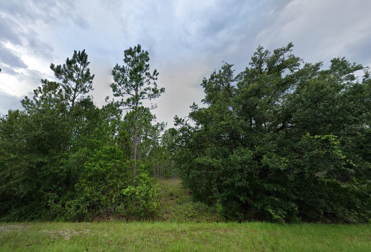 CAPE ORLANDO ESTATES - Land