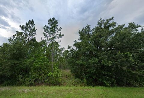 4014 CORONET AVENUE ORLANDO FL 32833