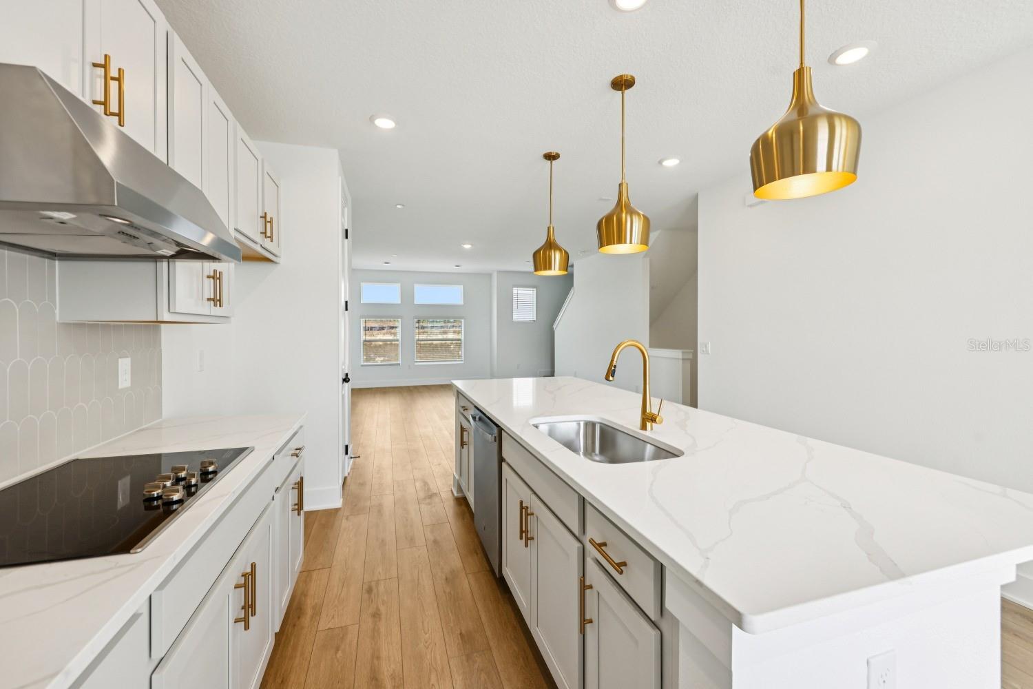 PARKVIEW/HAMLIN - Residential