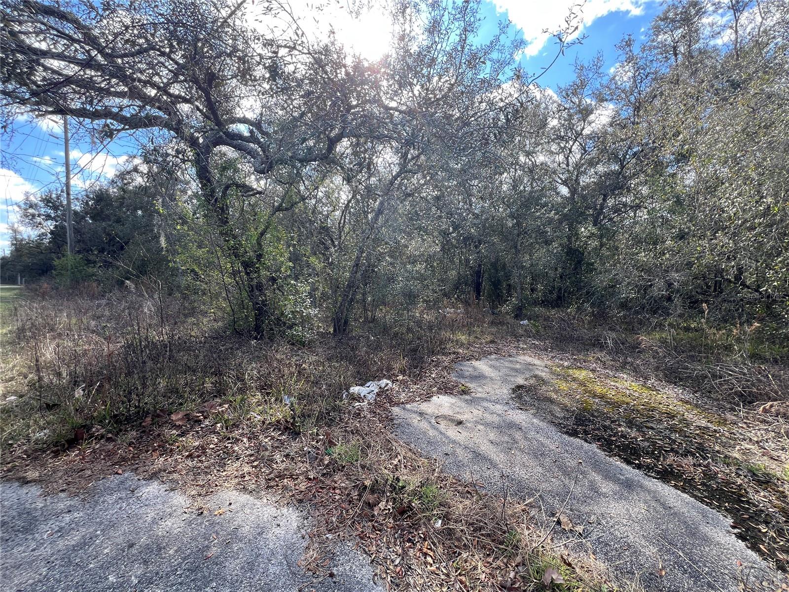 LOT 7 HAYS RD