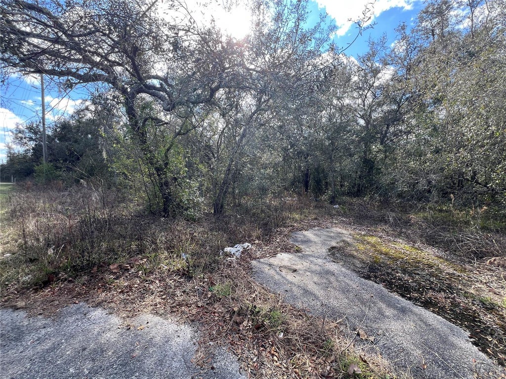 Photo of Lot 7 Hays Rd, Hudson, FL 34669 (MLS # TB8543599)