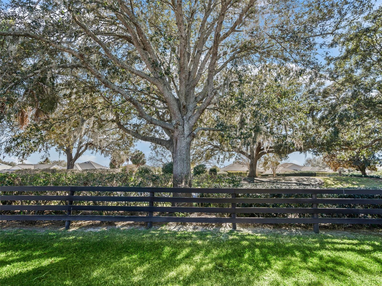 17651 SE 90TH CLEMSON CIRCLE