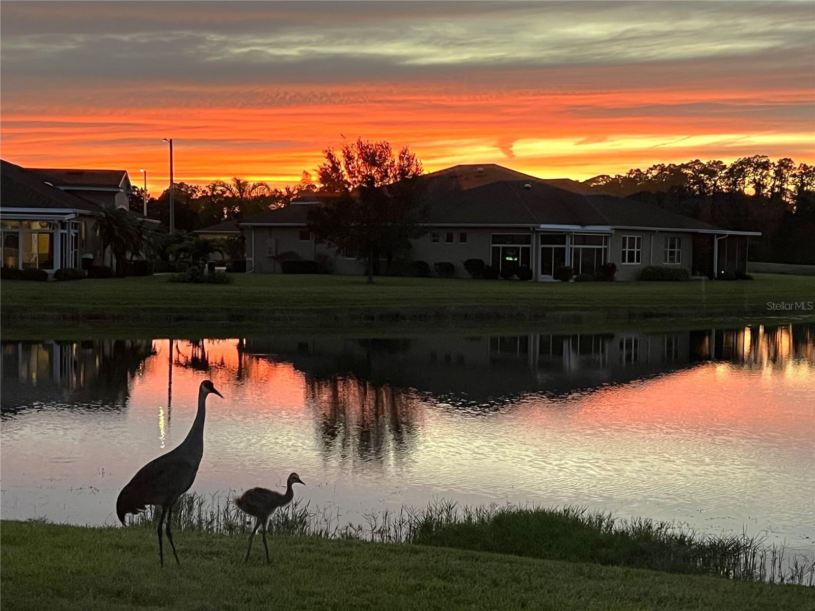 SUN CITY CENTER - RICHMOND VILLAS AT KINGS POINT - Residential