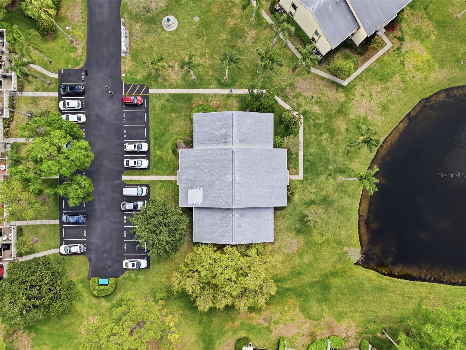 PINE RIDGE AT LAKE TARPON VILLAGE - Residential