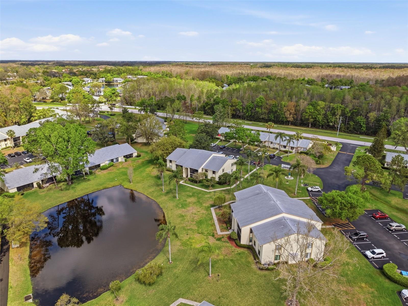 PINE RIDGE AT LAKE TARPON VILLAGE - Residential