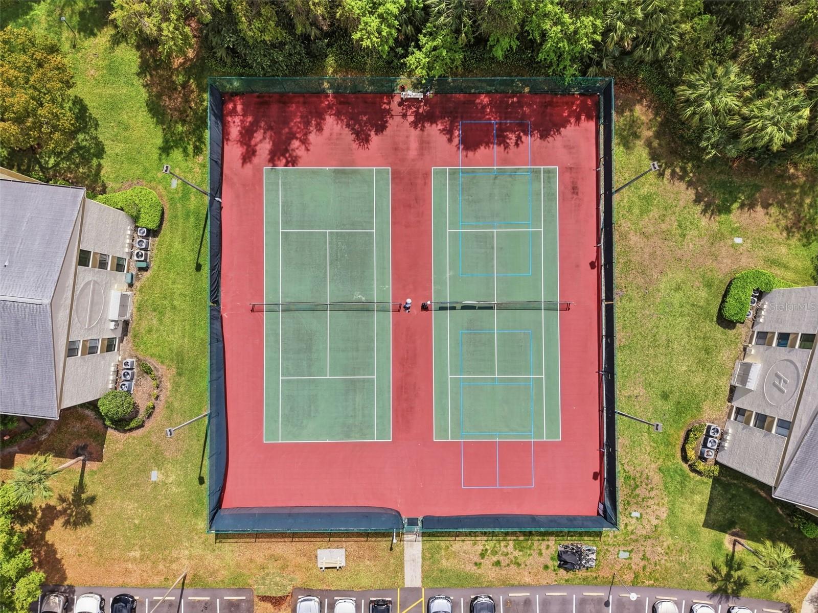 PINE RIDGE AT LAKE TARPON VILLAGE - Residential