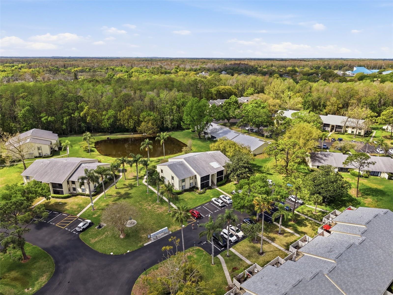 PINE RIDGE AT LAKE TARPON VILLAGE - Residential