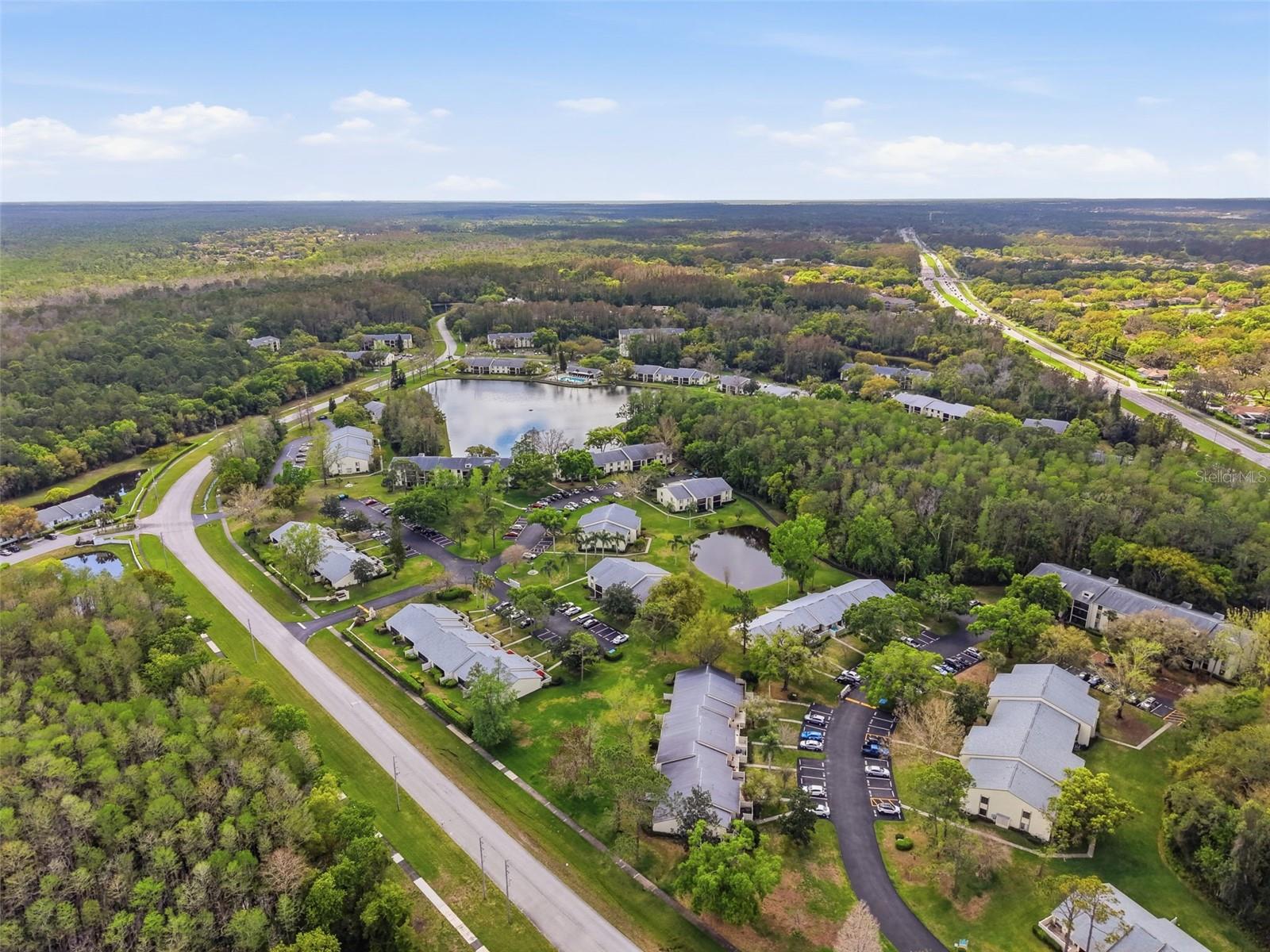 PINE RIDGE AT LAKE TARPON VILLAGE - Residential