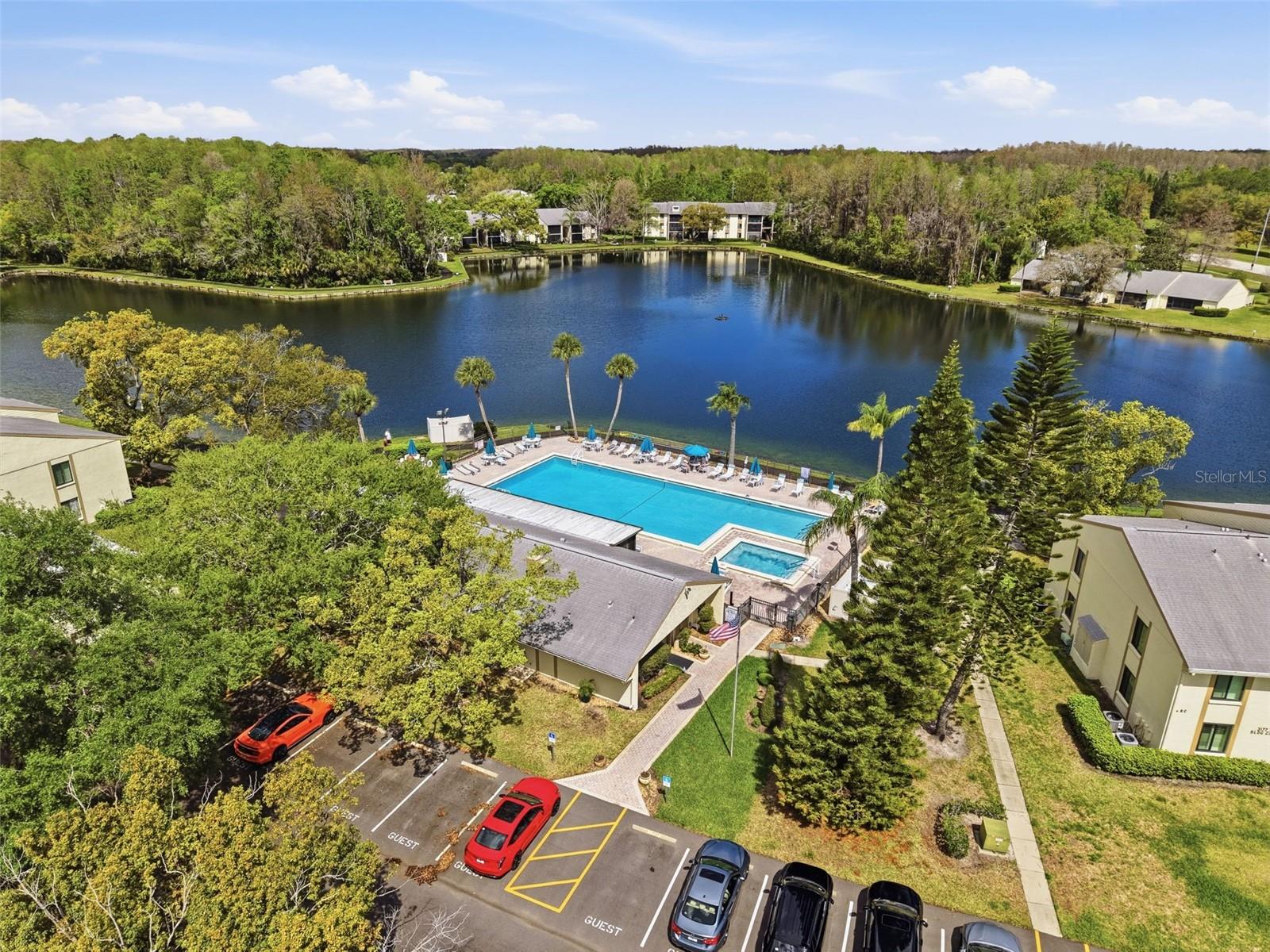 PINE RIDGE AT LAKE TARPON VILLAGE - Residential