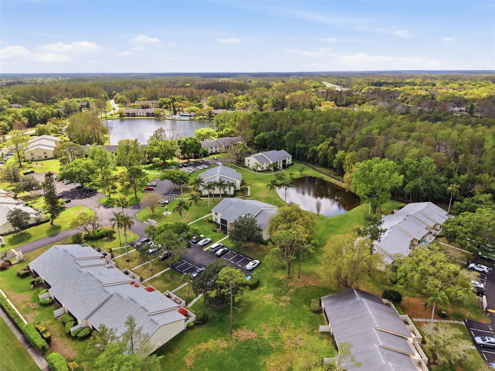 PINE RIDGE AT LAKE TARPON VILLAGE - Residential