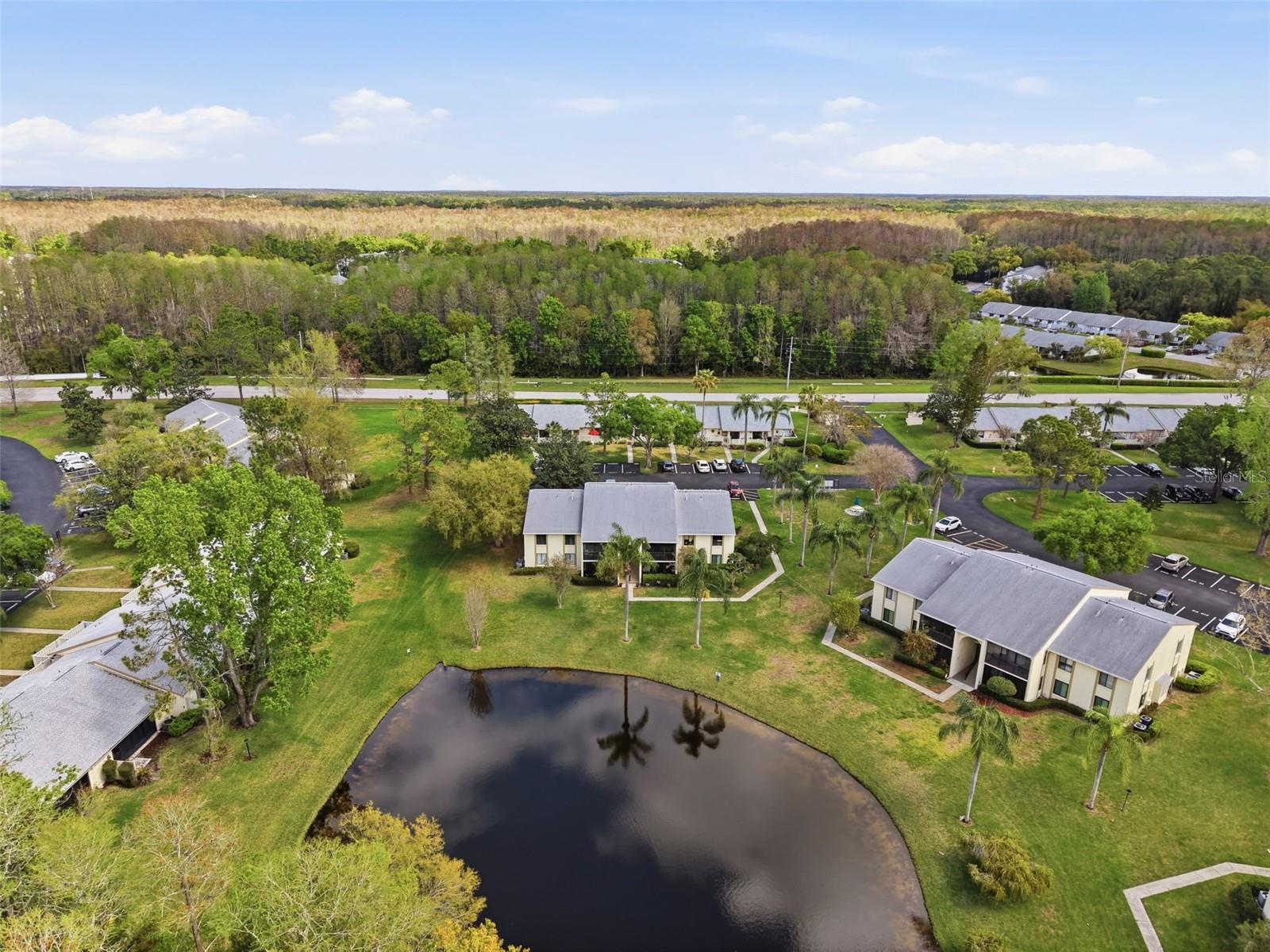 PINE RIDGE AT LAKE TARPON VILLAGE - Residential