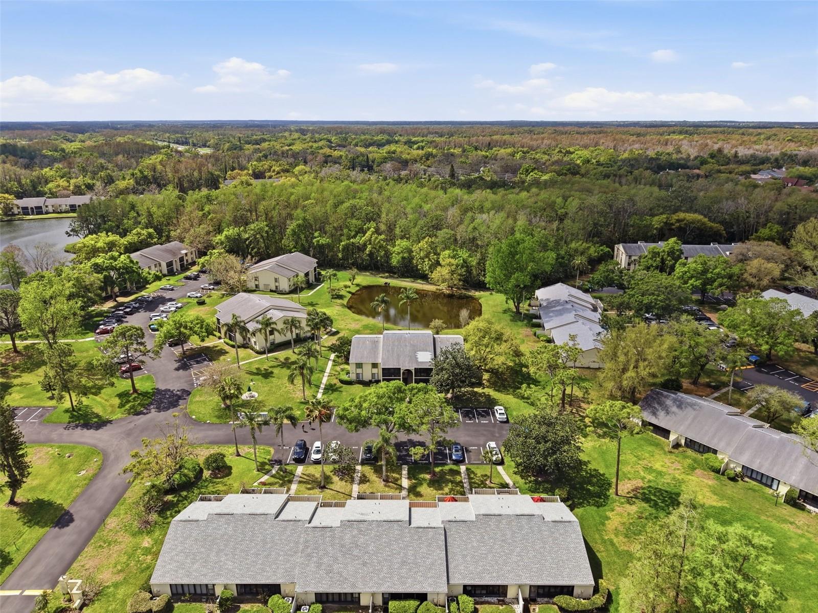 PINE RIDGE AT LAKE TARPON VILLAGE - Residential