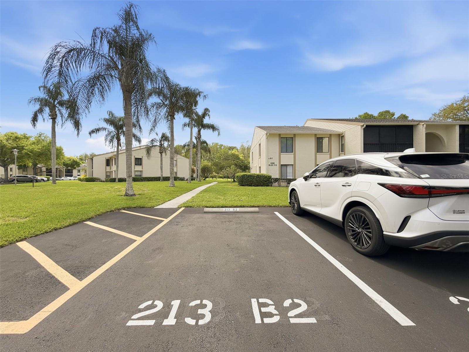 PINE RIDGE AT LAKE TARPON VILLAGE - Residential