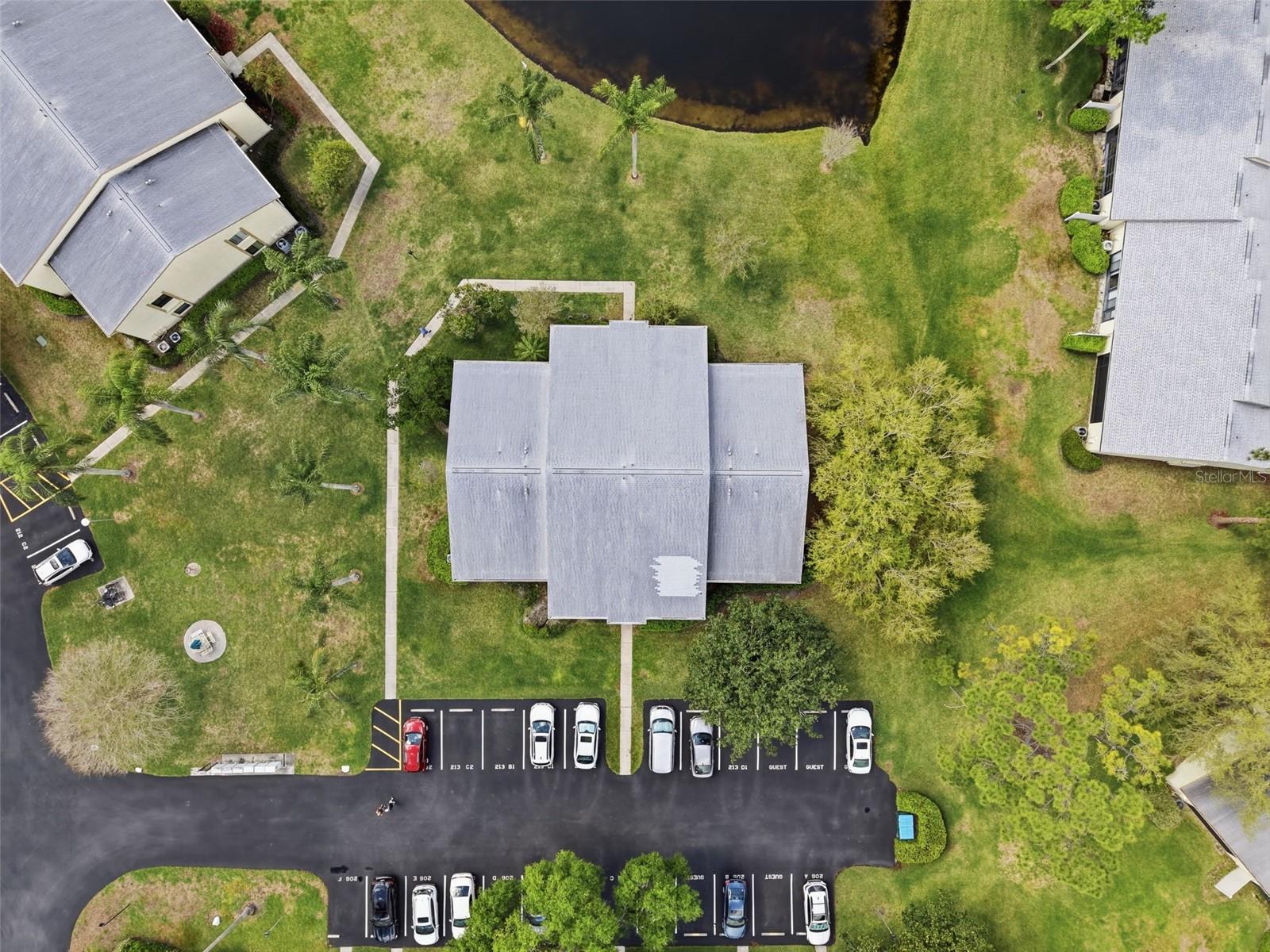 PINE RIDGE AT LAKE TARPON VILLAGE - Residential