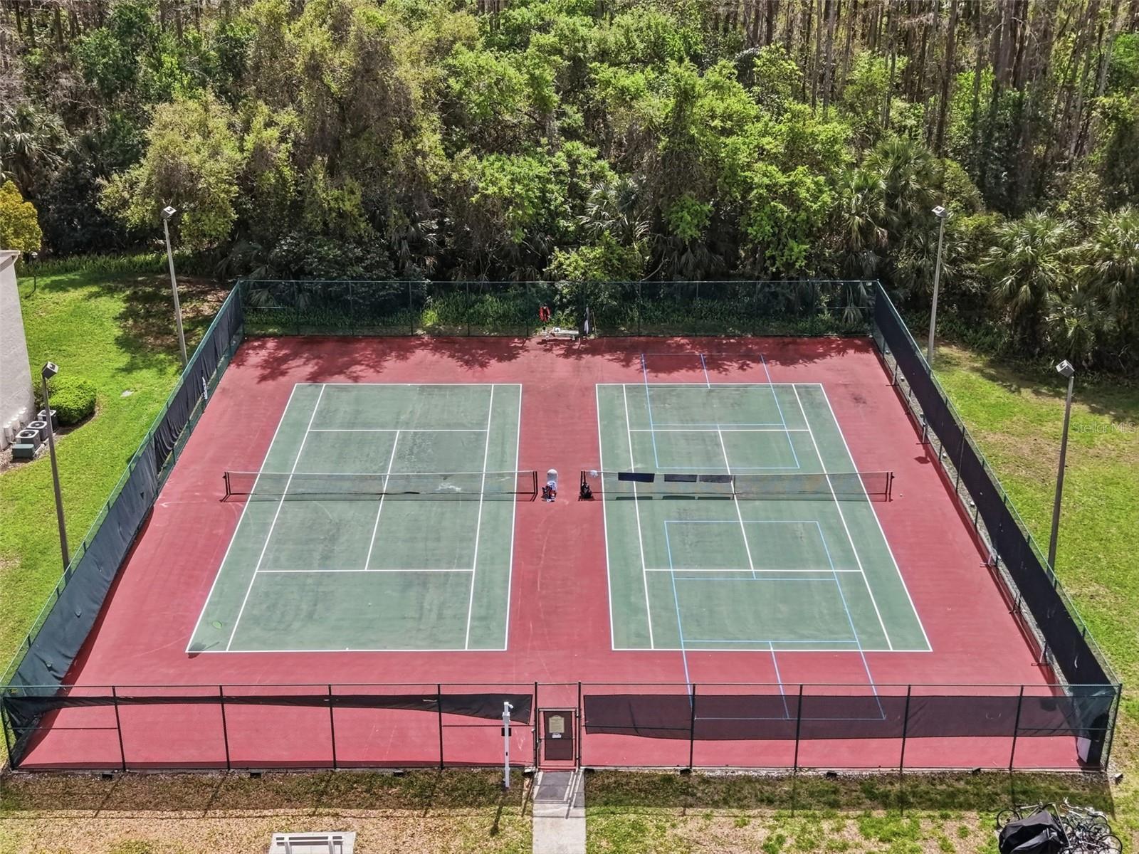 PINE RIDGE AT LAKE TARPON VILLAGE - Residential