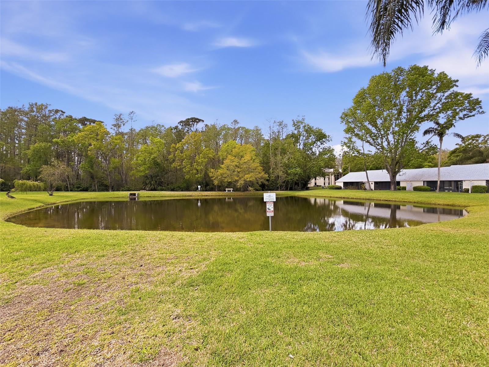 PINE RIDGE AT LAKE TARPON VILLAGE - Residential
