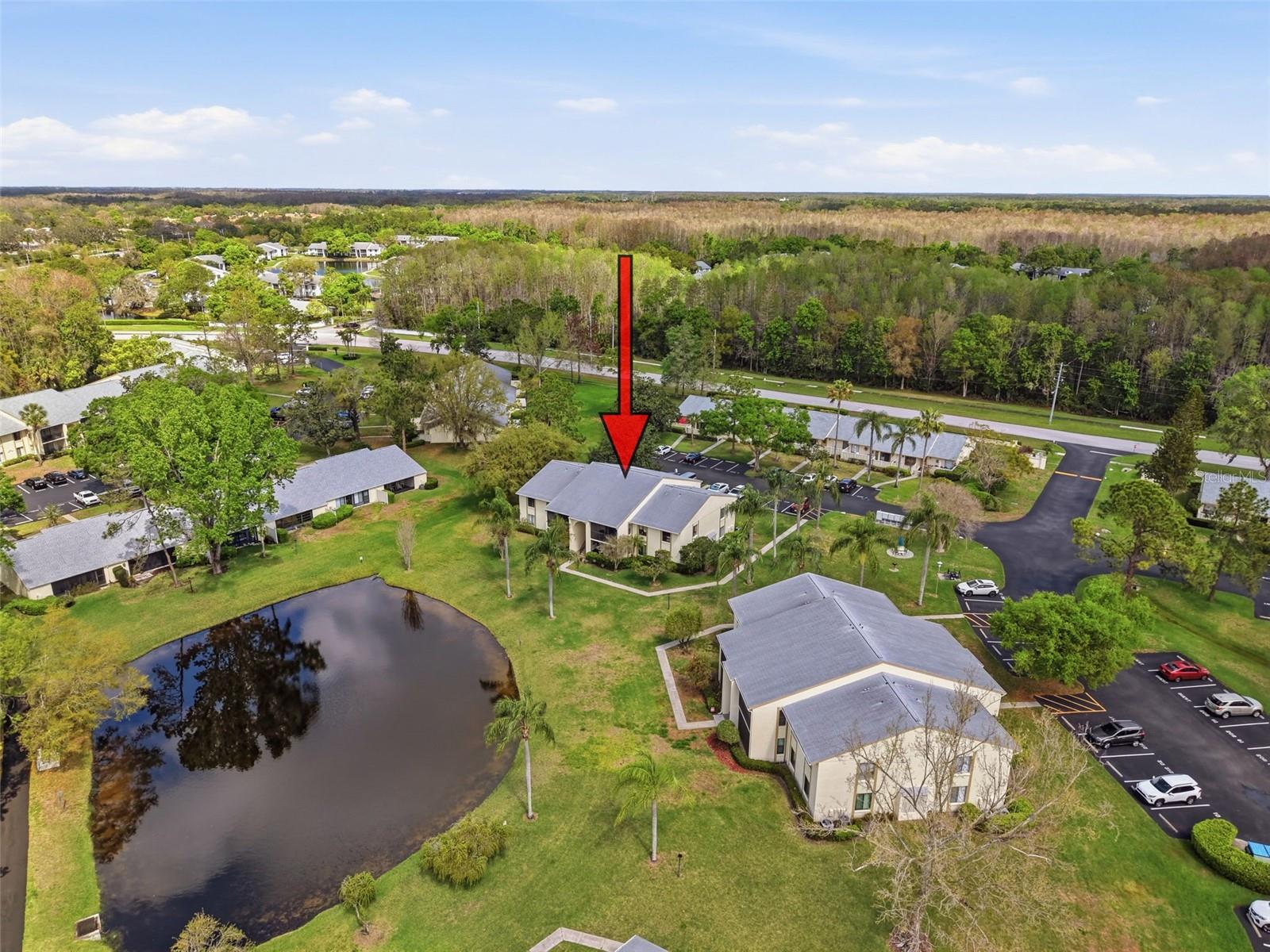 PINE RIDGE AT LAKE TARPON VILLAGE - Residential