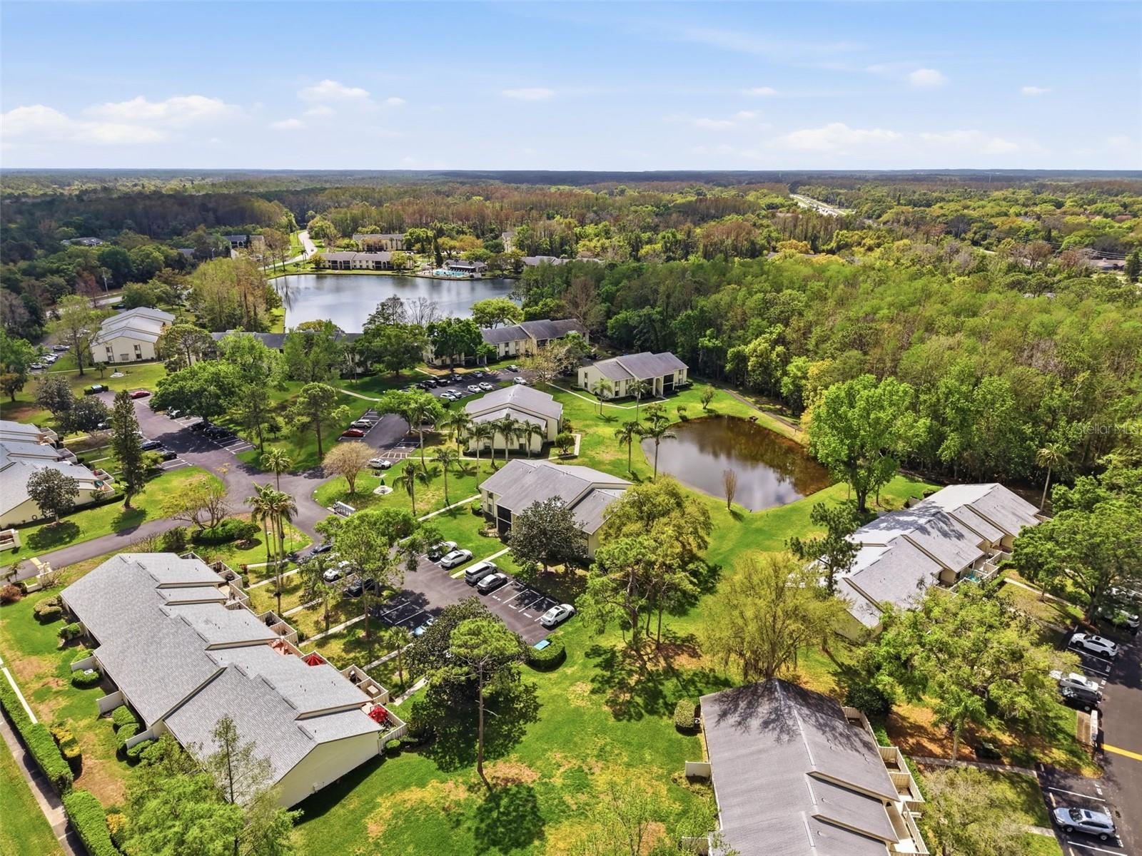 PINE RIDGE AT LAKE TARPON VILLAGE - Residential