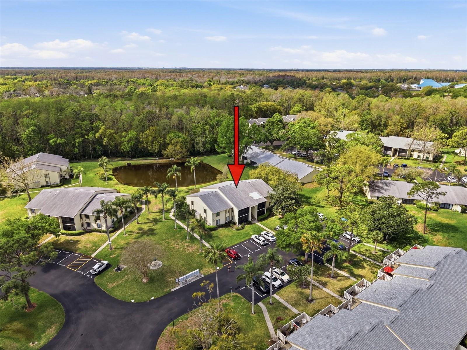 PINE RIDGE AT LAKE TARPON VILLAGE - Residential