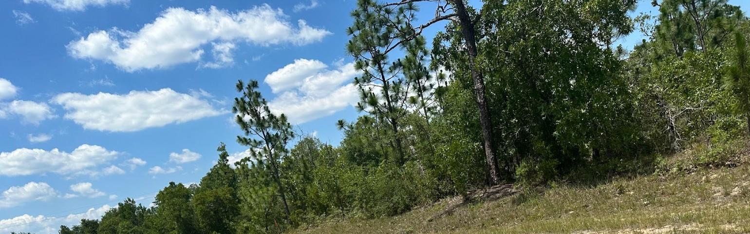 SUNNYHILLS UN 6 - Land