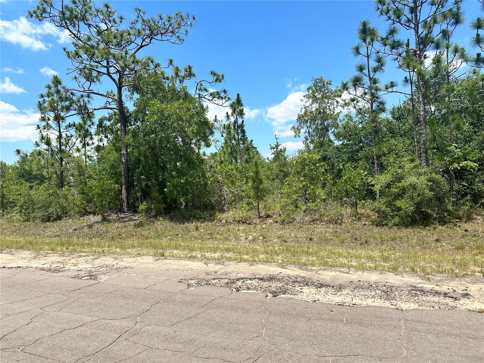 Situated in the heart of Sunny Hills, this residential lot measures 80 by 130 feet and offers access to city water. Located outside the flood zone, with no wetlands or protected species, this lot is shovel-ready and primed for development. Seller financing, Low down payments, flexible terms up to 6 years, and fixed monthly payments. Quick approval with no banks. Build equity you can later use to build your home with us. Try our payment calculator online or call us to learn more about our financing options. Chipley is a city in Washington County, Florida, Chipley has many attractions, including Falling Waters State Park, Seacrest Wolf Preserve, Orange Hill Gator Farm, The Swamp OffRoad Park, and Sunshine Riding Trails. Falling Waters State Park has a two-acre lake with sand beach that's good for swimming.