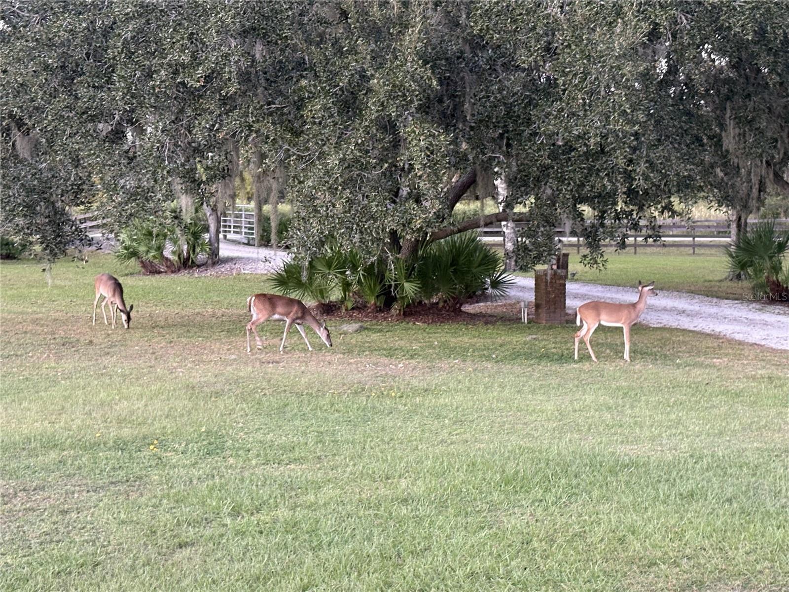 BERN CREEK THE RANCHES AT - Residential Lease