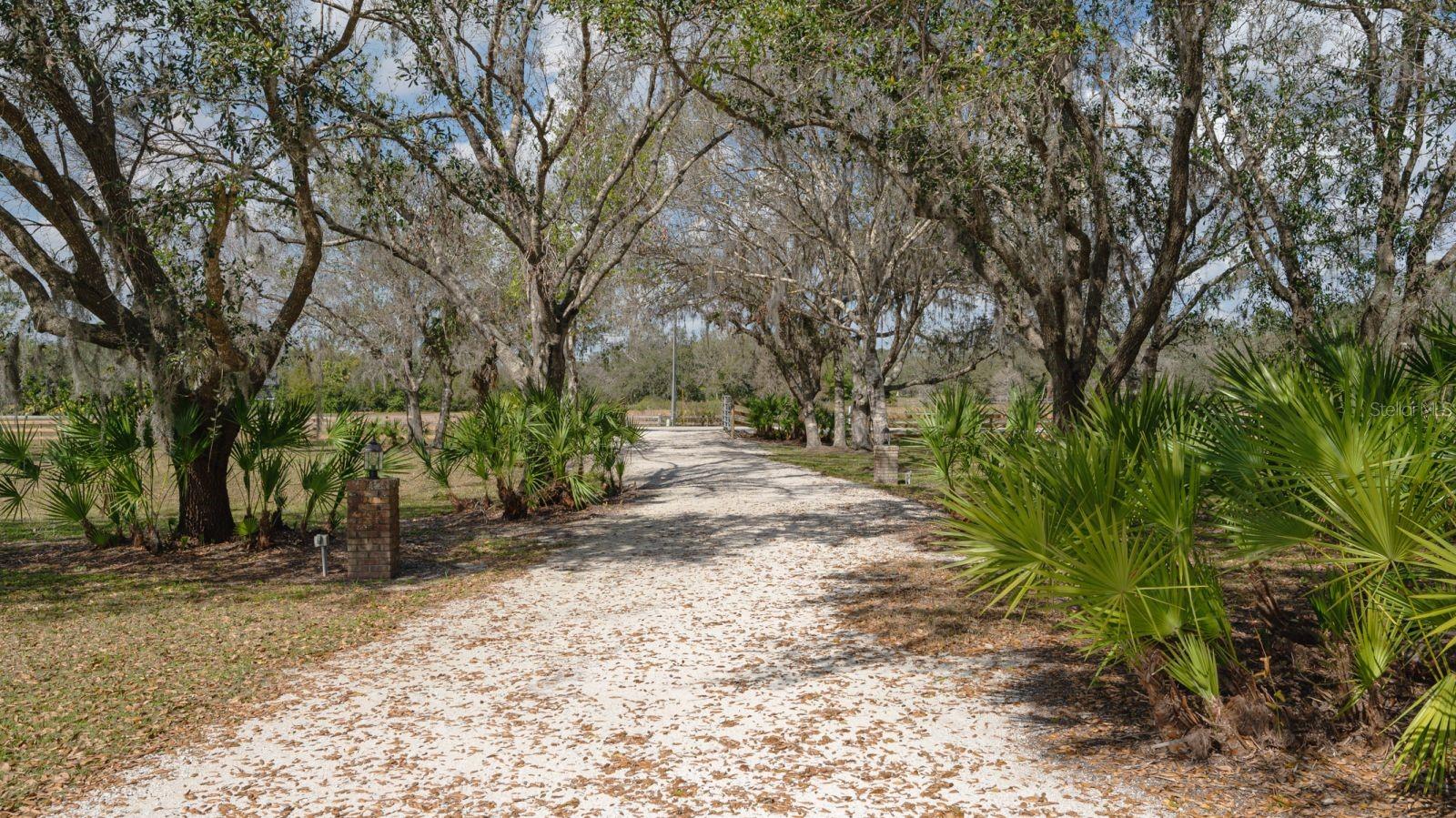 BERN CREEK THE RANCHES AT - Residential Lease