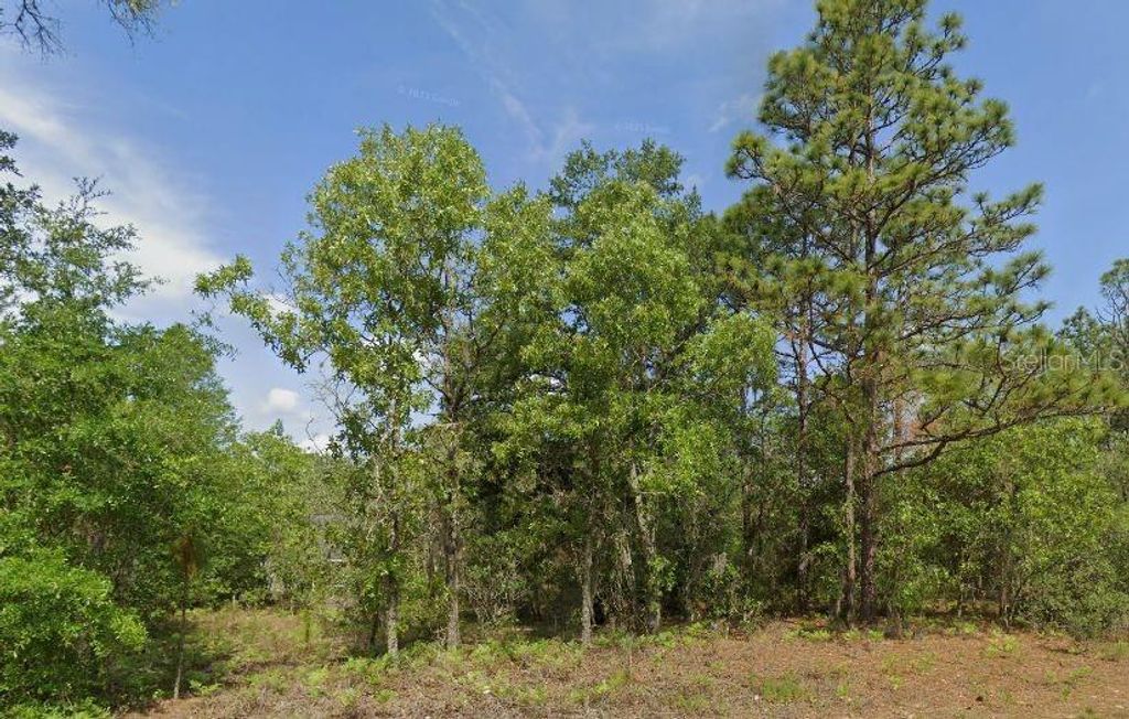 Photo of 6502 N Matheson Drive, Citrus Springs, FL 34434 (MLS # TB8469093)