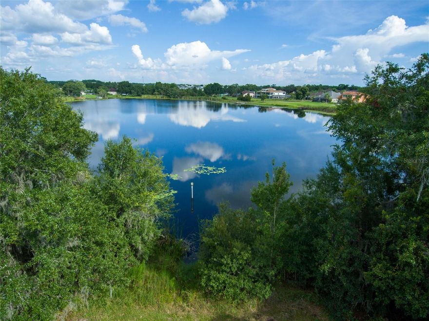 Lake Jo Ann - 4.64 acres LAKEFRONT property located in Land O' Lakes - Come build your dream home or plan for the future. This Waterfront lot is great for backyard fishing, kayaking and watching the beautiful sunrise and sunset, year-round! This is the perfect spot for entertaining, listening and watching nature's wildlife. No HOA, No CDD Restrictions!