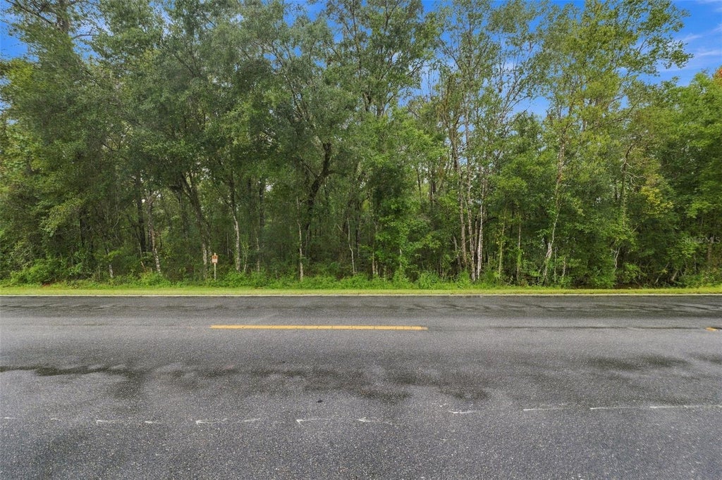 Photo of 000 Emerson Road, Brooksville, FL 34601 (MLS # W7890100)