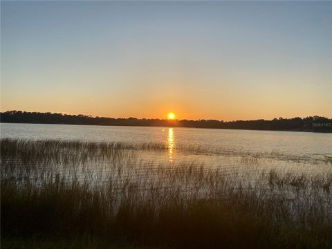 Tiny photo for 1000 Silver Drive, Umatilla, FL 32784 (MLS # G5109980)