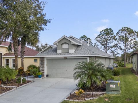 A home in MOUNT DORA