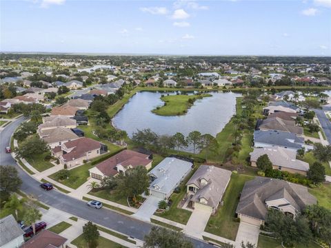 A home in MOUNT DORA