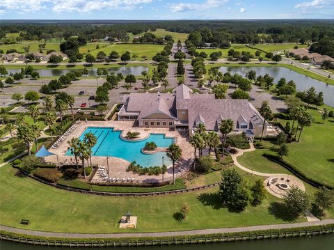 A home in MOUNT DORA