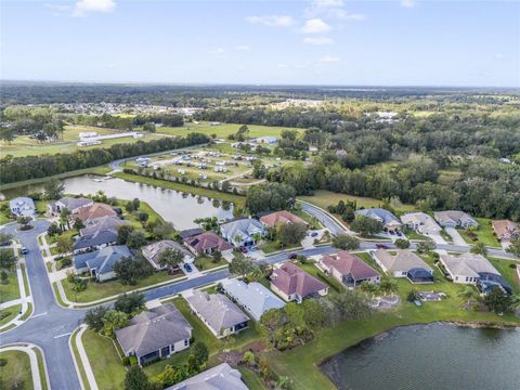 A home in MOUNT DORA