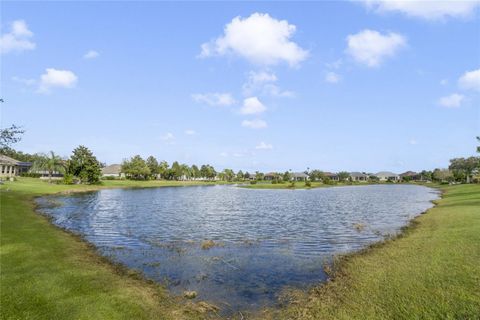 A home in MOUNT DORA